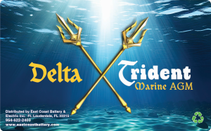 DELTA TRIDENT FIN LOGO